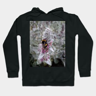 Bumblebee on Lambs Ear Flower Hoodie